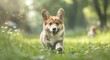 Delightful Corgi Puppy Frolicking in Lush Grass on a Sunny Day - Generative AI