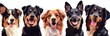 Cheerful Canine Quintet: Diverse Breeds Smiling for a Studio Portrait - Generative AI