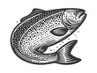 salmon in a vintage engraving style, suitable for food and fishing themes food sketch engraving generative ai raster illustration. Scratch board imitation. Black and white image.