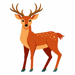  Deer, reindeer, red deer, roe, maral, fawn, doe, beast, pet, vector, illustration, draw, cartoon, pretty, cute