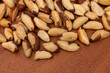Close up brazil nuts on brown background 