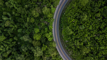 Canvas Print - Aerial view road through the green forest, Car drive going through forest, Aerial top view forest, Texture of forest view from above, Ecosystem and healthy environment concept and background.