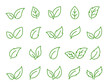 green leaves and branches linear set icons