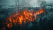 Gigantic wildfire devastates natural habitats, urgent call for environmental protection