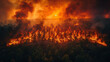 Immense inferno ravages woodlands, exacerbating global environmental challenges