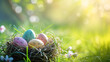 Nest with Easter eggs in grass on a sunny spring.
