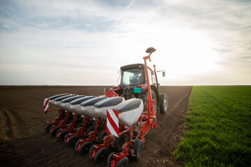 Wall Mural - Sowing crops at agricultural fields in spring