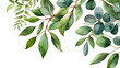 green leaves nature watercolor transparent background