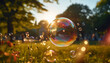 soap bubbles in the park. 