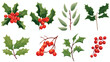 Holly christmas branches leaves berries fruit line 