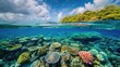 Split water view of a coral habitat teeming with life near a tropical island.