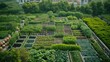 Aerial view of community vegetable plots in an urban garden.