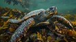 A turtle swimming in a sea of seaweed and plants, AI