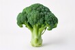 a broccoli on a white background