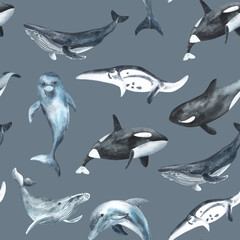 Wall Mural - Seamless pattern. Repeating texture with marine mammals. Watercolor illustration. Dolphin, killer whale, humpback whale. Hand drawn isolated on a white background. Textile, fabric, wallpaper
