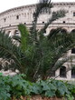 Colosseo Roma