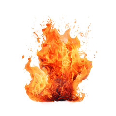 Canvas Print - Fiery Flames Isolated