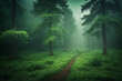 A Path Cutting Through a Lush Green Forest