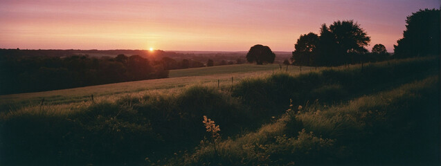 Wall Mural - The Sun Setting Over a Grassy Field