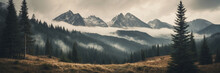 Cloud-Covered Mountains And Fir Trees