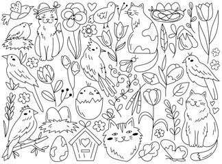 Wall Mural - Spring doodle floral pattern set with cute cats, birds and eggs in nest vector illustration