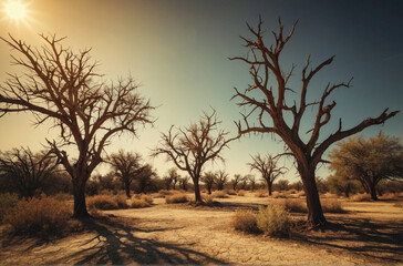 Poster - Sun Shines Through Trees in the Desert