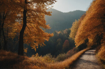 Wall Mural - Dirt Road Cutting Through Forest