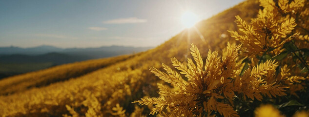 Poster - Golden Hour Over a Stunning Field