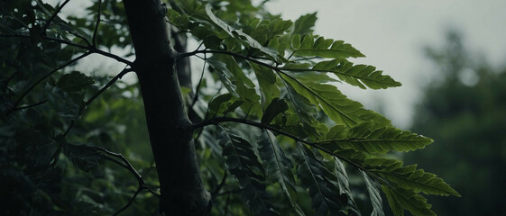 Canvas Print - Green Tree With Leaves