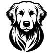 Approachable Golden Retriever Vector - Friendly Dog Stance Illustration in Black and White. 
Golden retriever in a friendly and approachable posture