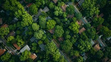 Aerial View Of A Small Town With Lush Trees