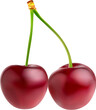 Raw realistic cherry, ripe cherry berries on stem, isolated vector 3D. Fresh ripe two cherries on green stem for natural juice or fruity jam package and organic berry food product