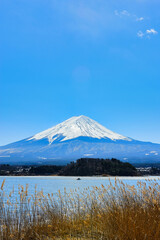 Tokyo Japan : 9 March 2024. Fuji mountain in Japan Beautiful tourist attractions that show the culture, traditions, visitors can visit every day. In the city of Tokyo.