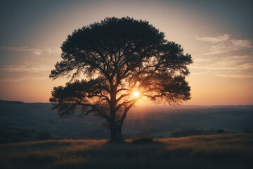 Wall Mural - Silhouette of a Tree Against a Sunset Sky
