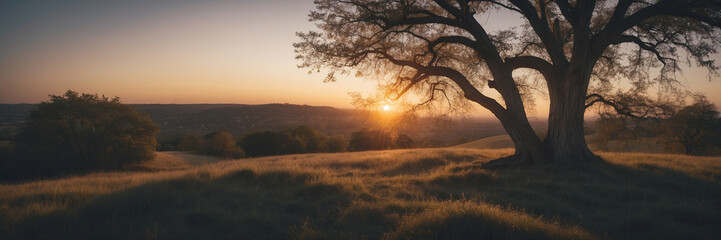 Wall Mural - Silhouetted Tree Against a Sunset Over a Rolling Landscape