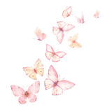 Fototapeta Motyle - Pink peach flying vector watercolor butterflies. Excellent for wedding design, invitations, postcards. Hand painted illustration.