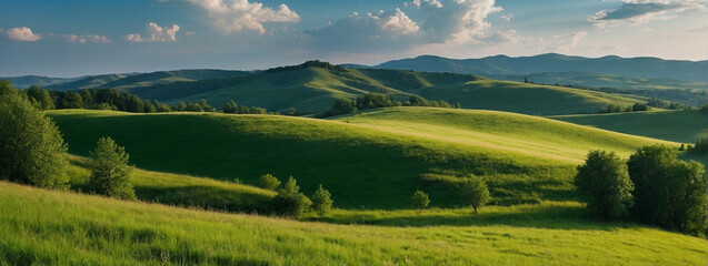 Wall Mural - Rolling Green Hillside in Summer