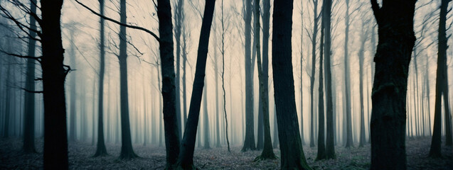 Wall Mural - Silhouetted Trees in a Foggy Forest at Dawn