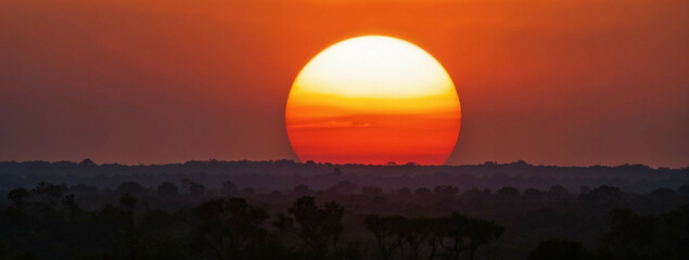 Wall Mural - Sun Setting Over Field With Trees