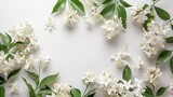white flowers jasmine arrangement flat lay postcard style on background white ,generative ai,