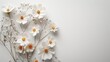 minimalist floral art with a white background