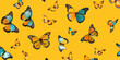 Colorful butterflies fluttering on vibrant yellow background, nature concept with multiple beautiful insects flying around