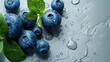 Close-up of dewy blueberries with green foliage. Refreshing wet blueberries on moist surface. High detail blueberries with water droplets and leaves.