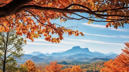 Wall Mural - Leaves framing a scenic mountain view