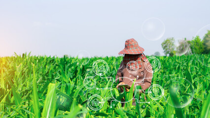 Agriculture technology farmer man using tablet computer analysis data and visual icon. vegetable seedlings in cultivated agricultural field with graphic concepts modern agricultural technology