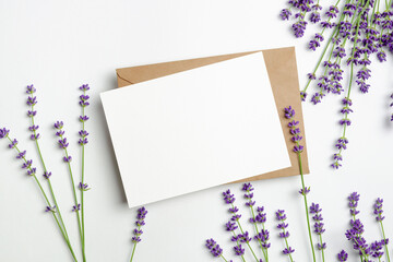 Wall Mural - Greeting or invitation card mockup with envelope and fresh lavender flowers