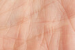 © New Africa - Texture of dry skin as background, macro view