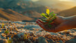 Hand holding a young plant seedling with soil against a backdrop of sunlit hills, conveying hope and reforestation efforts..