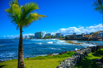 Wall Mural - Seascape with Palm Trees, curved volcanic stone walls, green garden, coastal buildings, and floating white clouds at Sunrise in San Juan, Puerto Rico, tranquil beauty on Condado Beach