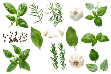 Top view of Herbs and spices isolated on background, ingredients for cooking food, healthy vegetables food, high fibers and vitamins.